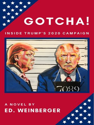 cover image of GOTCHA!